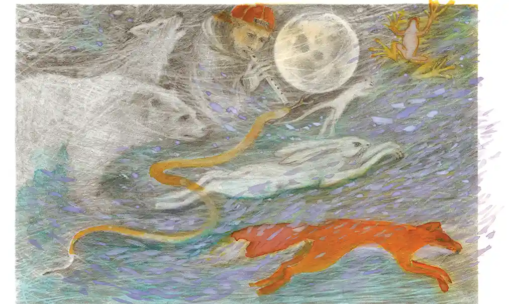 Der Bub Mechúrik Koščúrik mit seinen Freunden aus der Tierwelt.